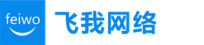 飞我网络